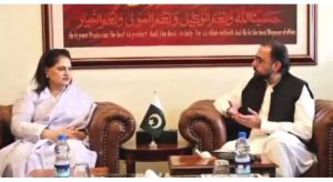 Federal Minister For Overseas Pakistanis And Human Resource Development Chaudhry Salik Hussain Met With BISP Chairperson Senator Rubina Khalid